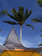 Universo Paralello 2006 - Dec. 28th, 2005 Pratigi Beach (Brasil)